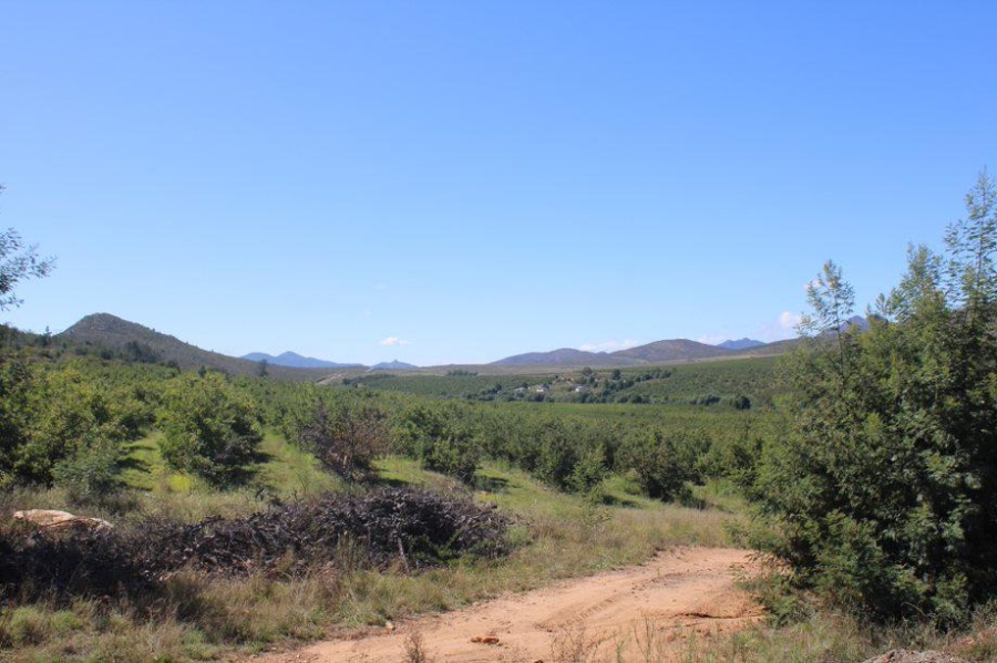 0 Bedroom Property for Sale in Haarlem Western Cape